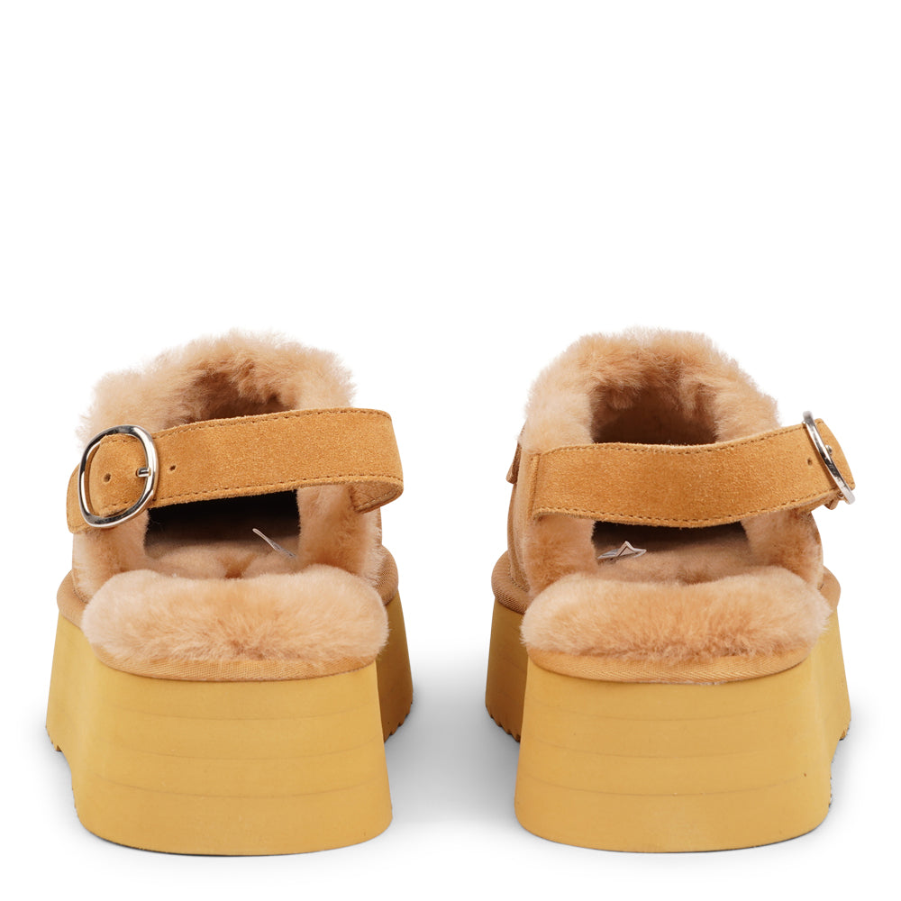 Step into a world of luxury and coziness with our Siple suede mules. Crafted with the finest suede, these mules are designed to provide not only elegance but also ultimate comfort for your feet. The sumptuous shearling lining ensures your feet stay warm and snug, making them the perfect choice for colder days.  The standout feature of the Siple mules is the adjustable heel strap, allowing you to customize the fit to your liking. 