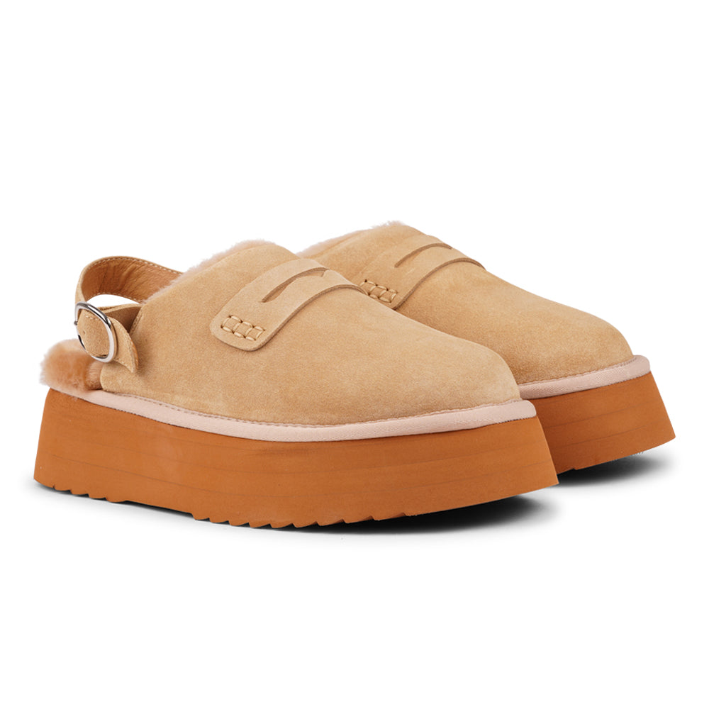 Lovelies - Step into a world of luxury and coziness with our Siple suede mules. Crafted with the finest suede, these mules are designed to provide not only elegance but also ultimate comfort for your feet. The sumptuous shearling lining ensures your feet stay warm and snug, making them the perfect choice for colder days.
The standout feature of the Siple mules is the adjustable heel strap, allowing you to customize the fit to your liking.